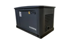 Газовый генератор 8-9 кВт CTG CG10000SA Газовый генератор 8-9 кВт CTG CG10000SA