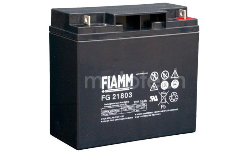 Аккумуляторная батарея FIAMM FG21803